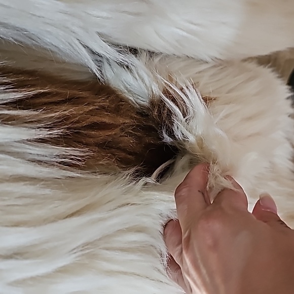 NWT Zadig & Voltaire Fred Tache Faux Fur Natural Coat Sz S - Picture 7 of 14